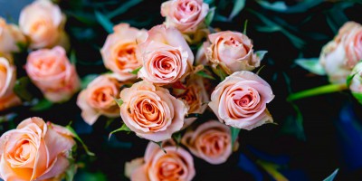 dan-gold-713452-unsplash_400x200_acf_cropped